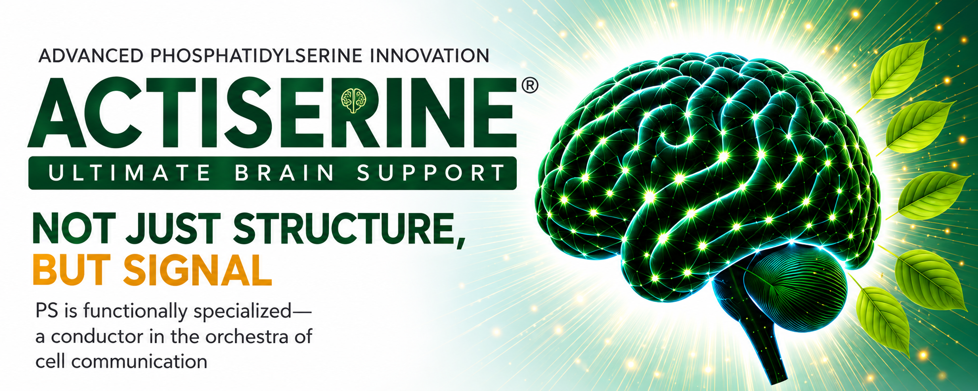 Nustras Actiserine phosphatidylserine brain support