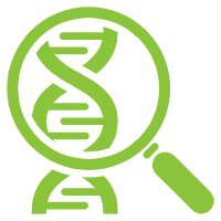 Amino Acids