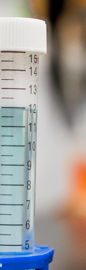 Analyses en laboratoire et formulation de produits
